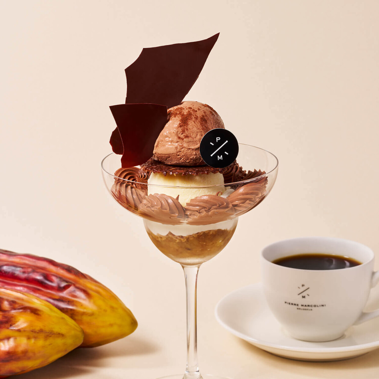 PIERRE MARCOLINI